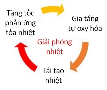 Than tự cháy và các vấn đề về an toàn, môi trường