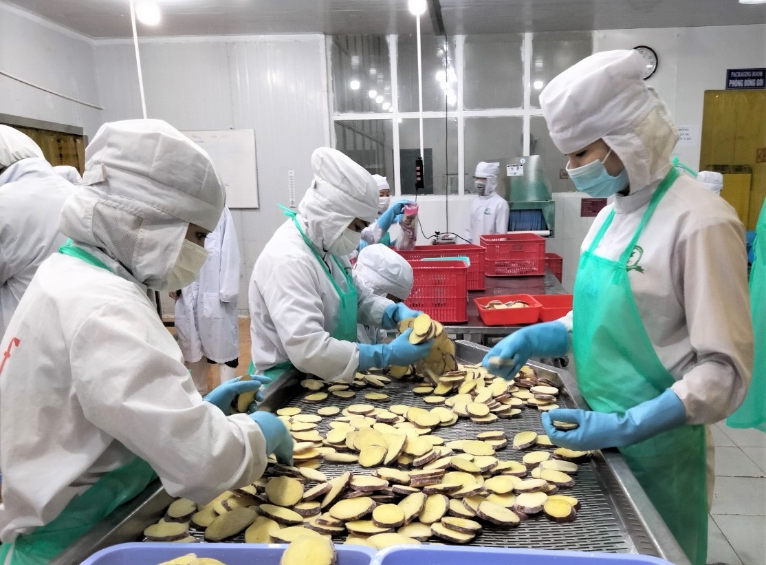 Tăng lương tối thiểu vùng – chia sẻ và thấu hiểu! Tăng lương tối thiểu vùng: Chia sẻ và thấu hiểu