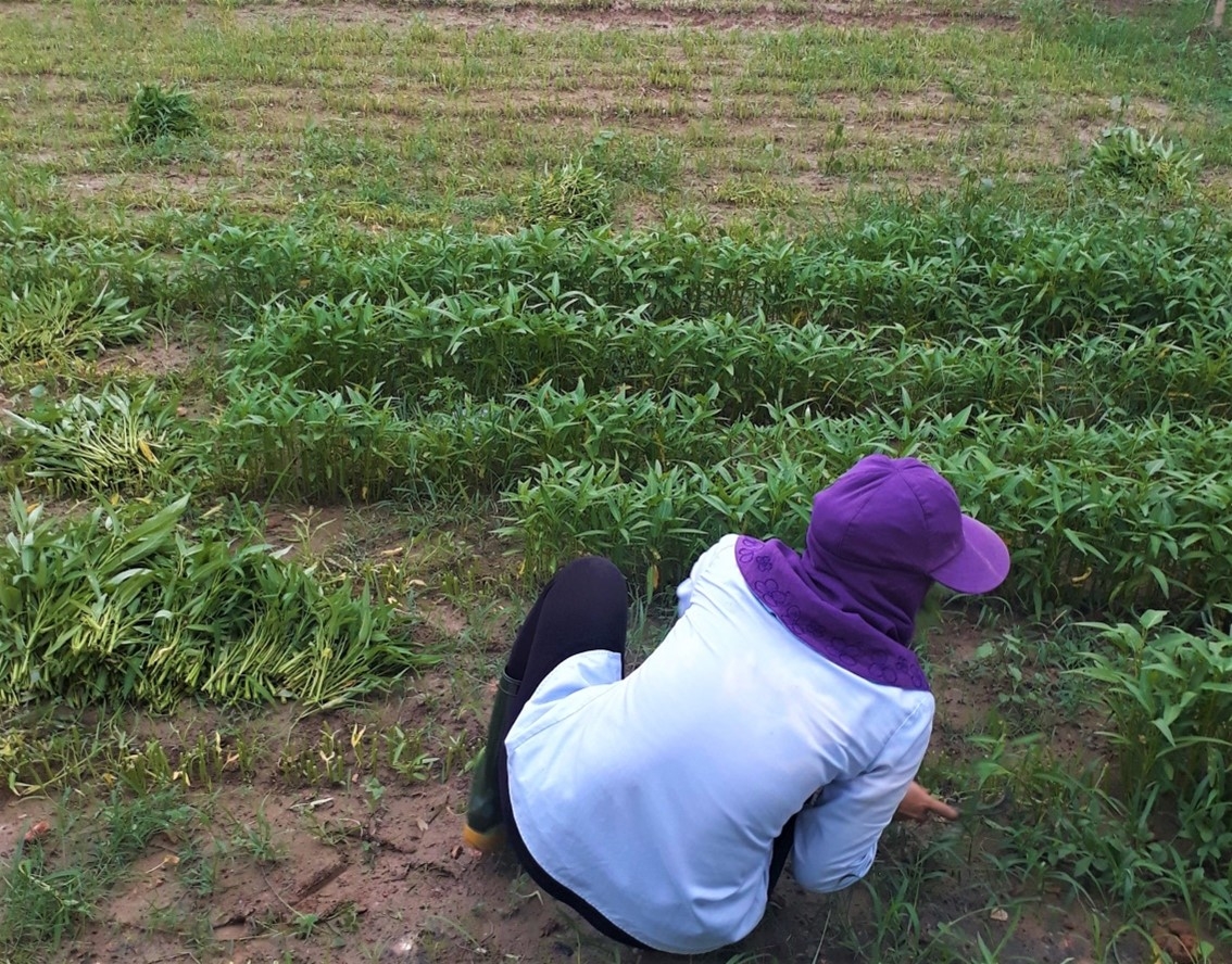 Tăng giá trị bữa ăn ca cho người lao động: Nỗ lực của doanh nghiệp ở Quảng Bình Tăng giá trị bữa ăn ca cho người lao động: Nỗ lực của doanh nghiệp ở Quảng Bình