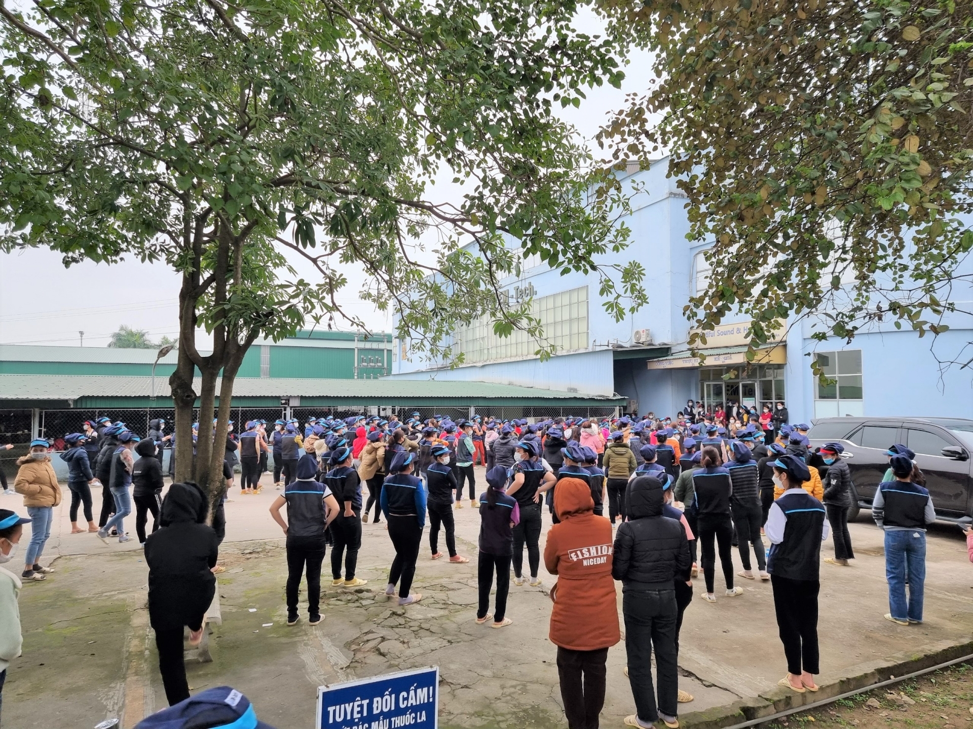 “Tăng lương tối thiểu chính là giúp doanh nghiệp có thêm động lực để phát triển” “Tăng lương tối thiểu chính là giúp doanh nghiệp có thêm động lực để phát triển”