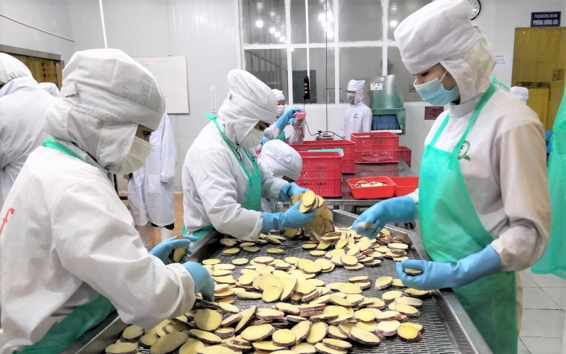 Lâm Đồng: Liên ngành phối hợp hiệu quả để chăm lo, bảo vệ tốt hơn quyền lợi NLĐ