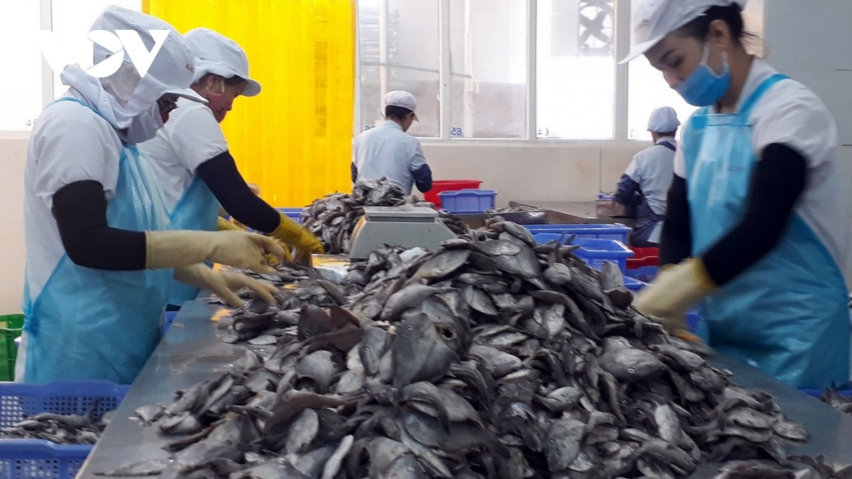 Đánh giá nguy cơ rủi ro ATVSLĐ: Có bắt buộc đưa vào nội quy, quy trình làm việc?