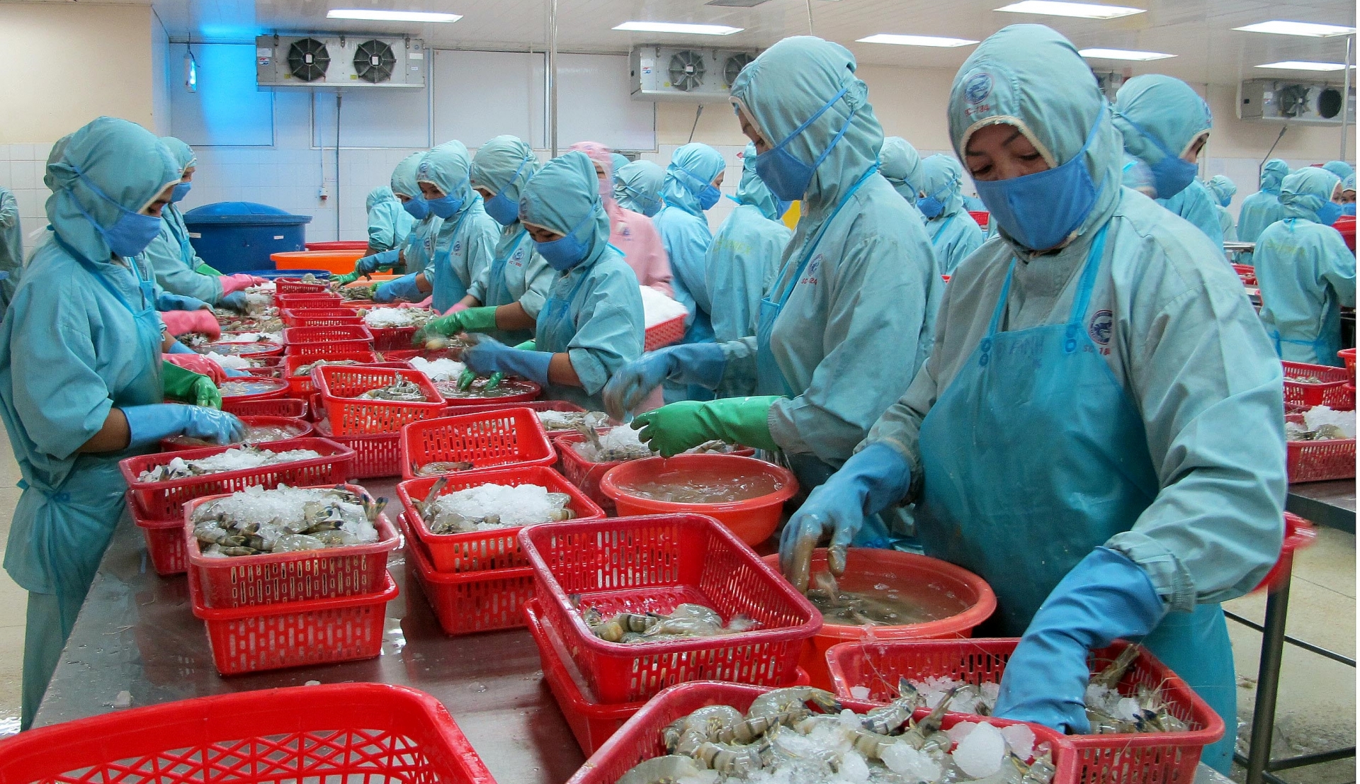 LĐLĐ tỉnh Sóc Trăng phát động Tháng Công nhân năm 2022