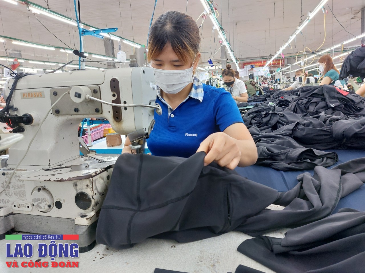 Chỉ đạo triển khai Nghị định về lương tối thiểu vùng Chỉ đạo triển khai Nghị định về lương tối thiểu vùng