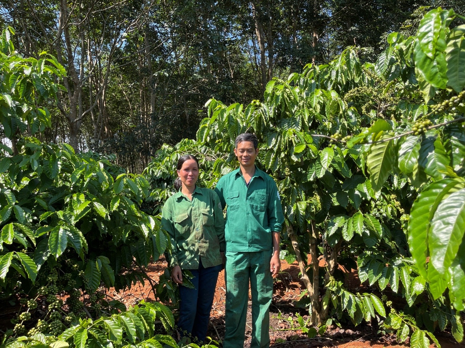 Nghị lực vươn lên