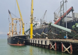 Hỗ trợ tiền ăn cho thuyền viên làm việc trên tàu với mức 10 triệu đồng/tàu