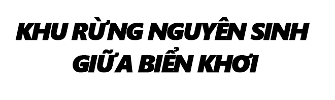 Bình minh Cồn Cỏ Bình minh Cồn Cỏ