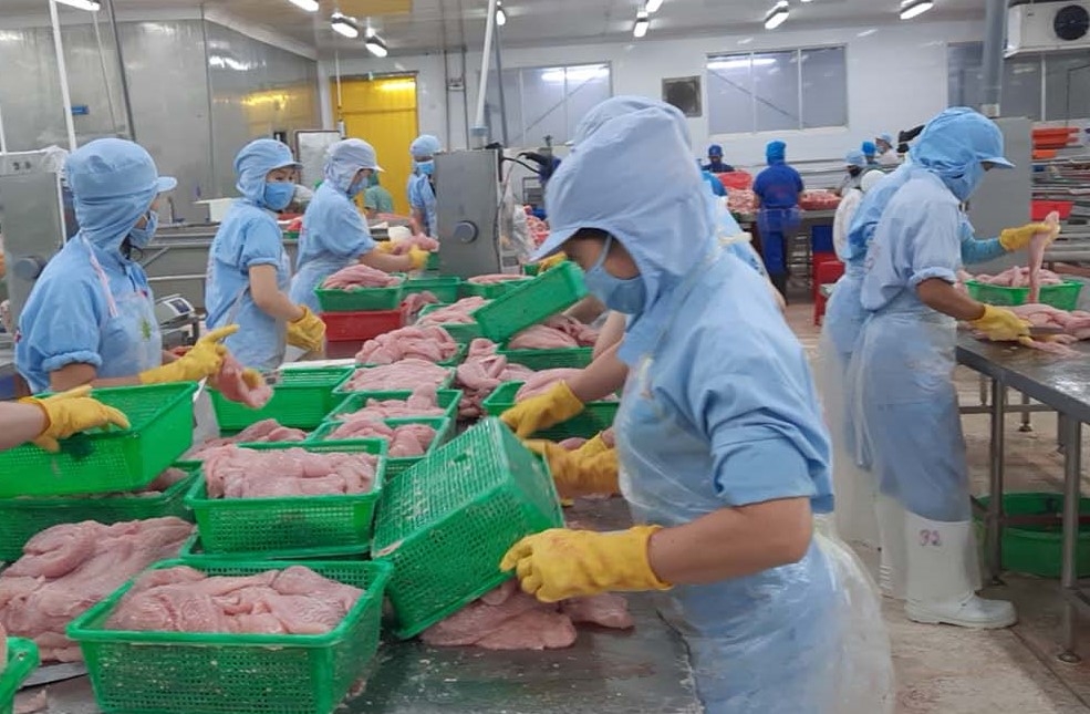 Hơn 2.600 công nhân lao động ở Cà Mau đã nhận được tiền hỗ trợ thuê nhà