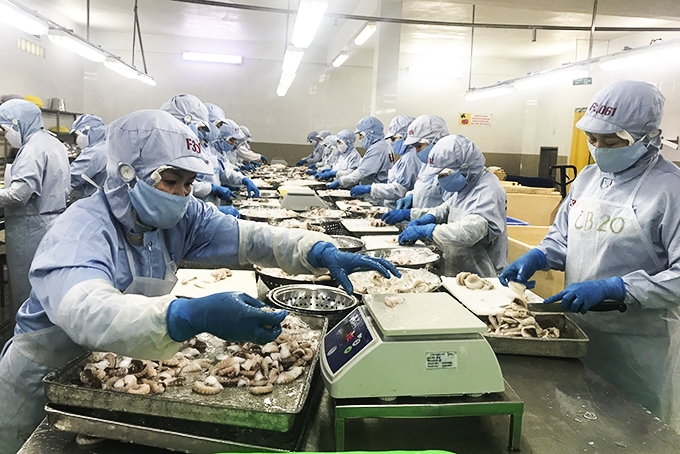 Tỉnh Khánh Hòa: Mạng lưới an toàn vệ sinh viên hoạt động ra sao ở doanh nghiệp chế biến thủy sản? Tỉnh Khánh Hòa: Mạng lưới an toàn vệ sinh viên hoạt động ra sao?