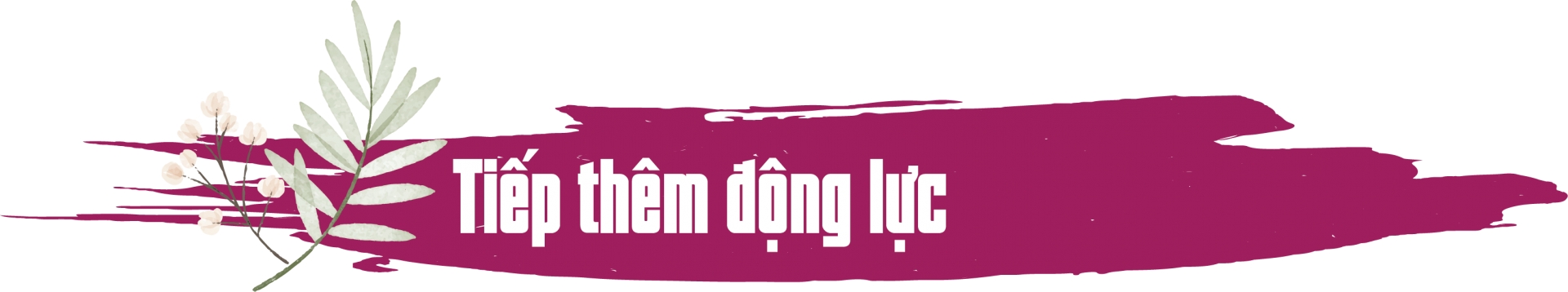 “Rơi vào hoàn cảnh khó khăn, em không có con đường nào khác ngoài đi lên"