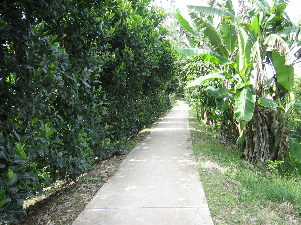 Mùng 5 tháng 5 về miệt cù lao