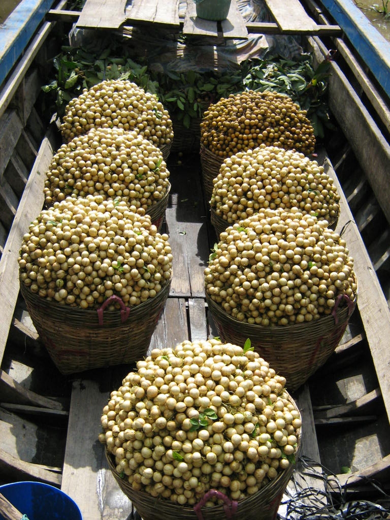 Mùng 5 tháng 5 về miệt cù lao