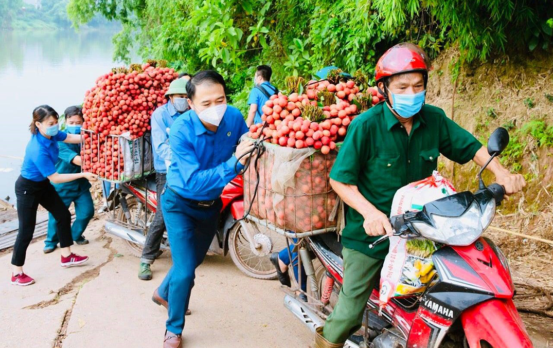 Liên đoàn Lao động Bắc Giang gửi thư ngỏ kêu gọi hỗ trợ tiêu thụ vải thiều