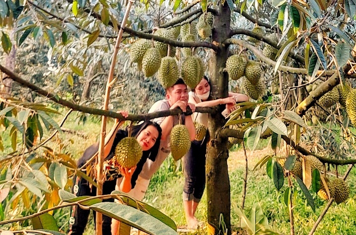 undefined Hương vị miệt vườn