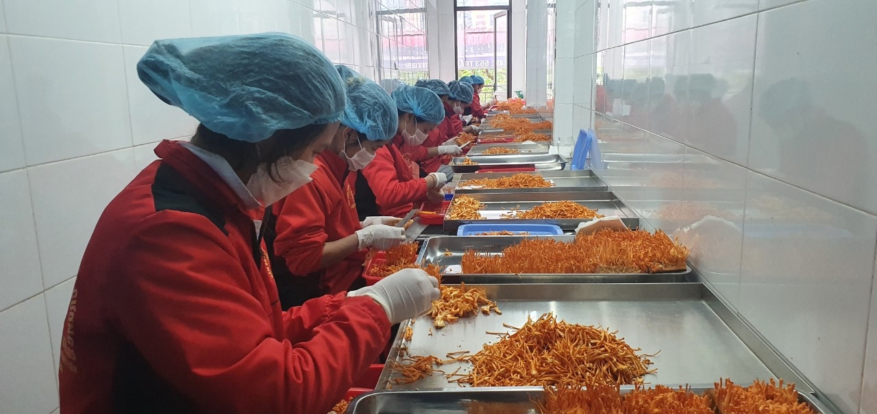 Dự báo kịch bản một số mô hình tổ chức, hoạt động của công đoàn Dự báo kịch bản một số mô hình tổ chức, hoạt động của công đoàn