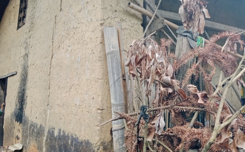 Cả tháng nay, cháu chỉ ăn 1 bữa/ngày còn mẹ phải ăn Mèn mén Cả tháng nay, cháu chỉ ăn 1 bữa/ngày còn mẹ phải ăn Mèn mén