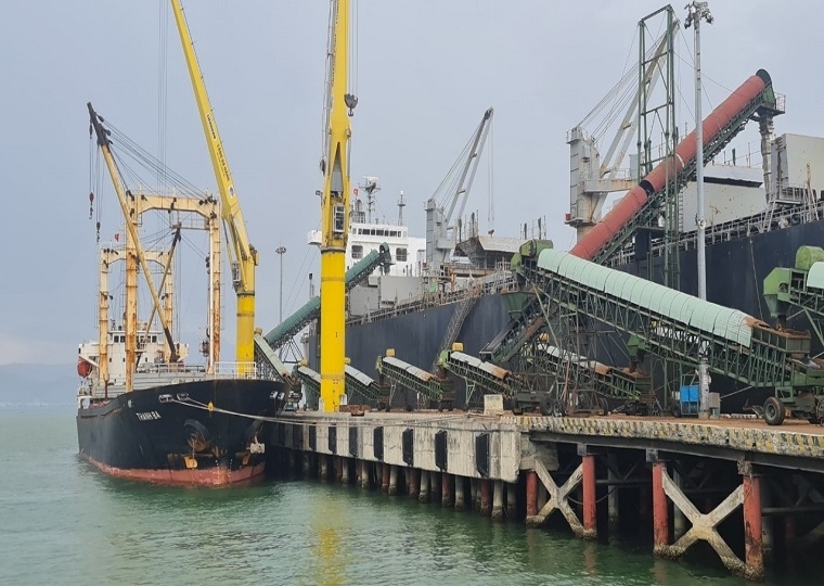 Doanh nghiệp vận tải biển cần tham gia bảo hiểm trách nhiệm cao cho thuyền viên Doanh nghiệp vận tải biển cần tham gia bảo hiểm trách nhiệm cao cho thuyền viên