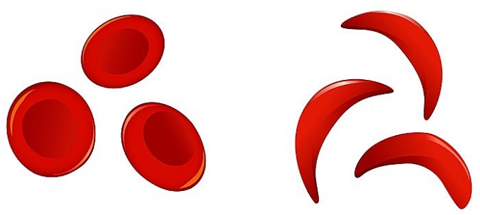 Ngày này năm xưa: Ngày của những người Cha Ngày này năm xưa: Ngày của những người Cha