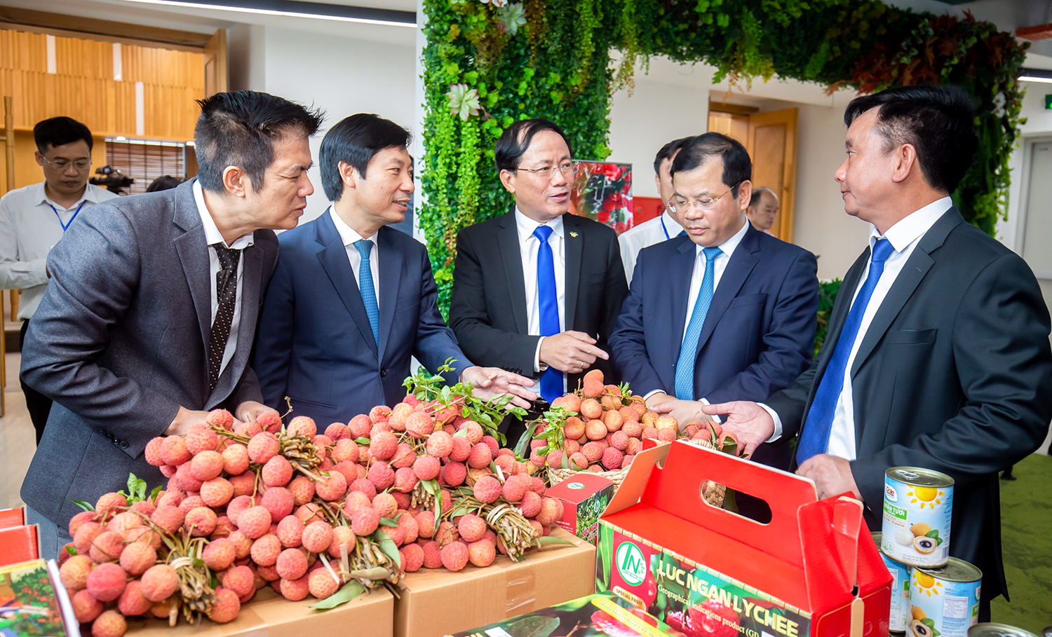 Vải thiều không hạt - Giống vải thiều mới đem lại lợi nhuận cao Vải thiều không hạt - Giống vải thiều mới đem lại lợi nhuận cao