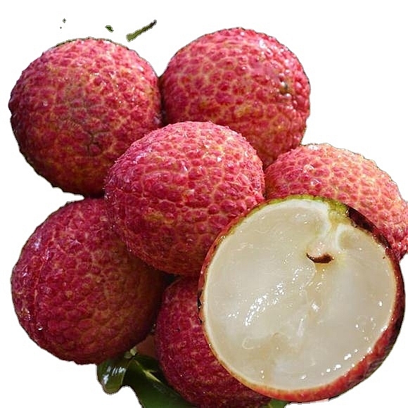 Vải thiều không hạt - Giống vải thiều mới đem lại lợi nhuận cao Vải thiều không hạt - Giống vải thiều mới đem lại lợi nhuận cao