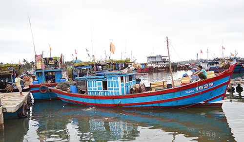 Nghiệp đoàn Nghề cá xã Tam Quang: Điểm tựa vững chắc cho những chuyến vươn khơi an toàn