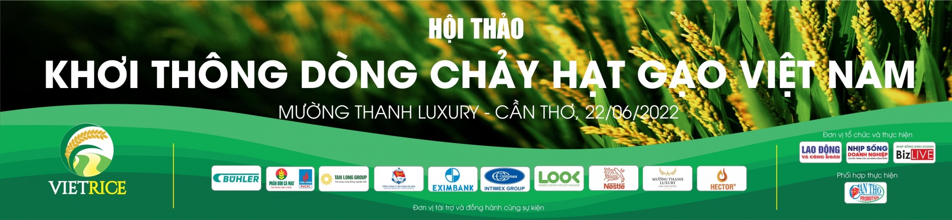 Đang diễn ra hội thảo "Khơi thông dòng chảy hạt gạo Việt Nam"