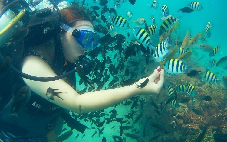 Du lịch vừa phục hồi, hướng dẫn viên lặn biển ở Khánh Hòa đối diện nguy cơ thất nghiệp