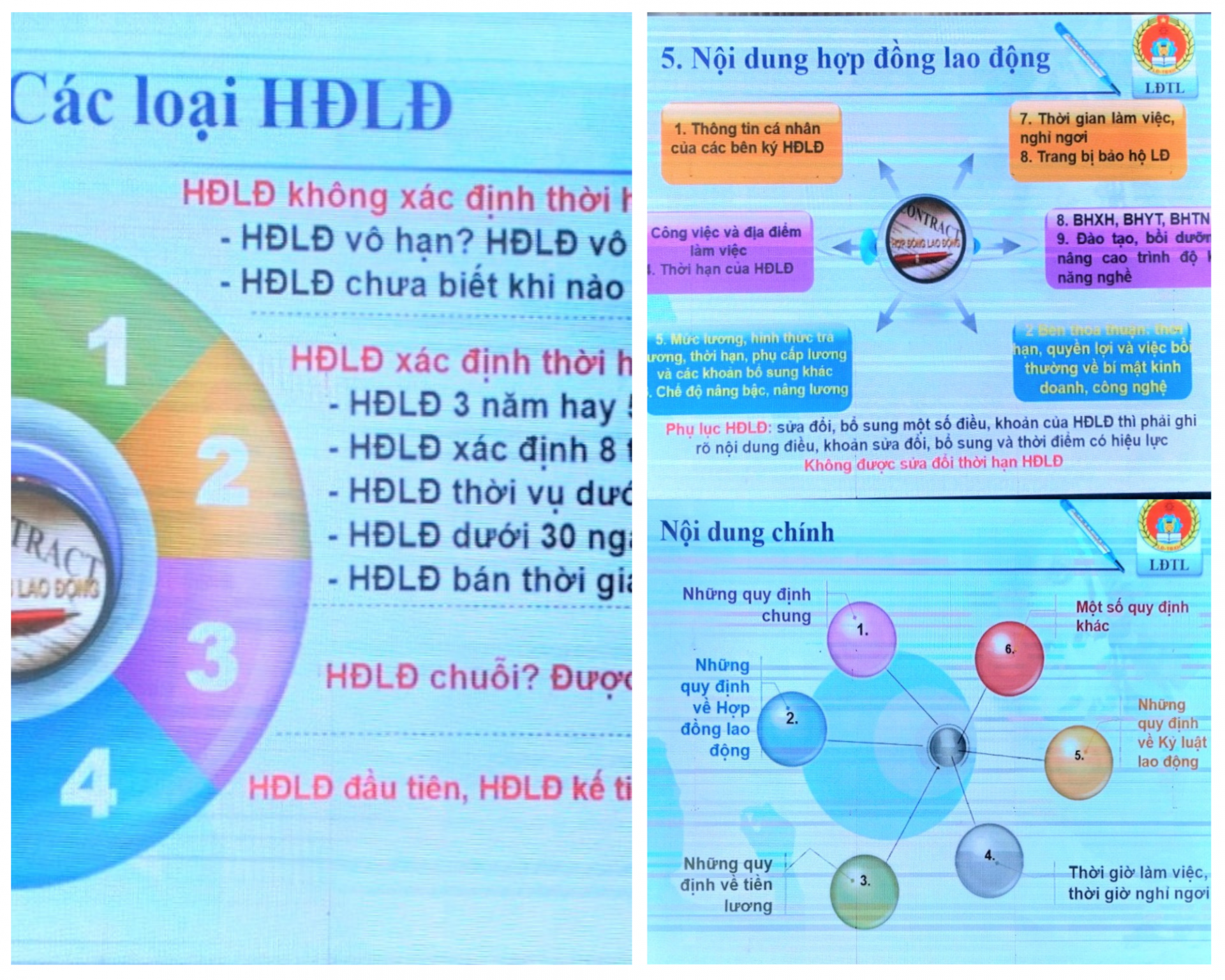 Lâm Đồng: Hơn 200 doanh nghiệp được tập huấn pháp luật về lao động