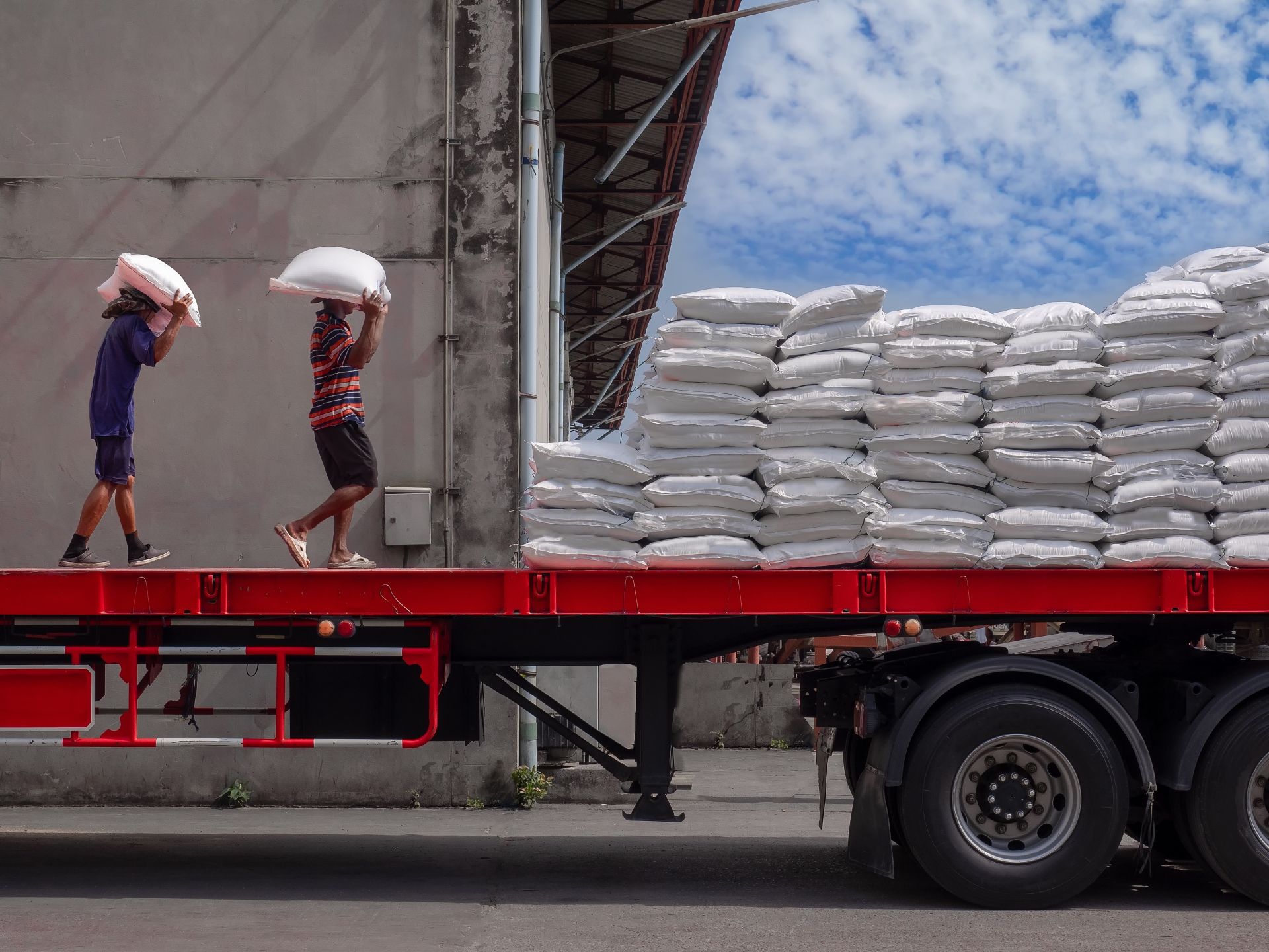 Bối cảnh mới của gạo Việt