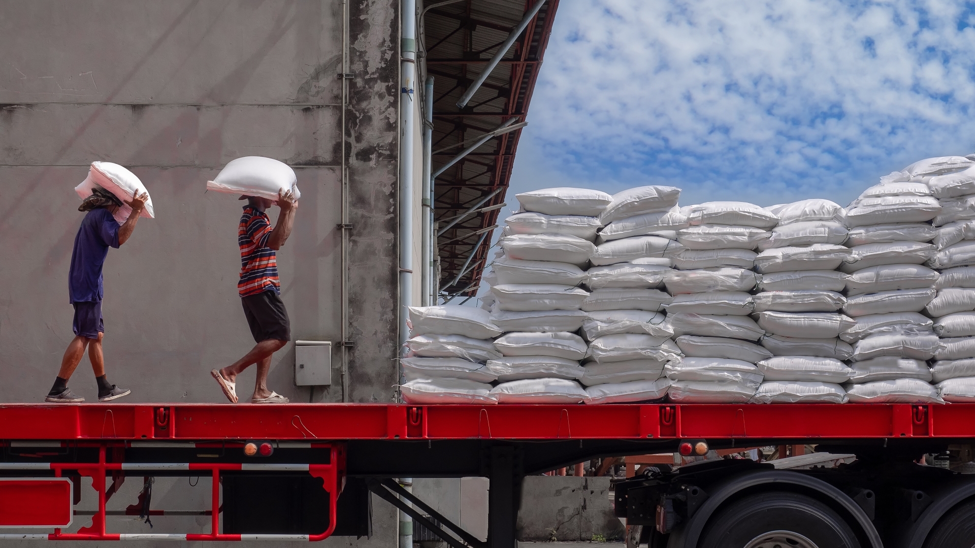 Bối cảnh mới của gạo Việt