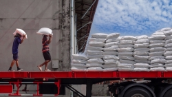 Bối cảnh mới của gạo Việt