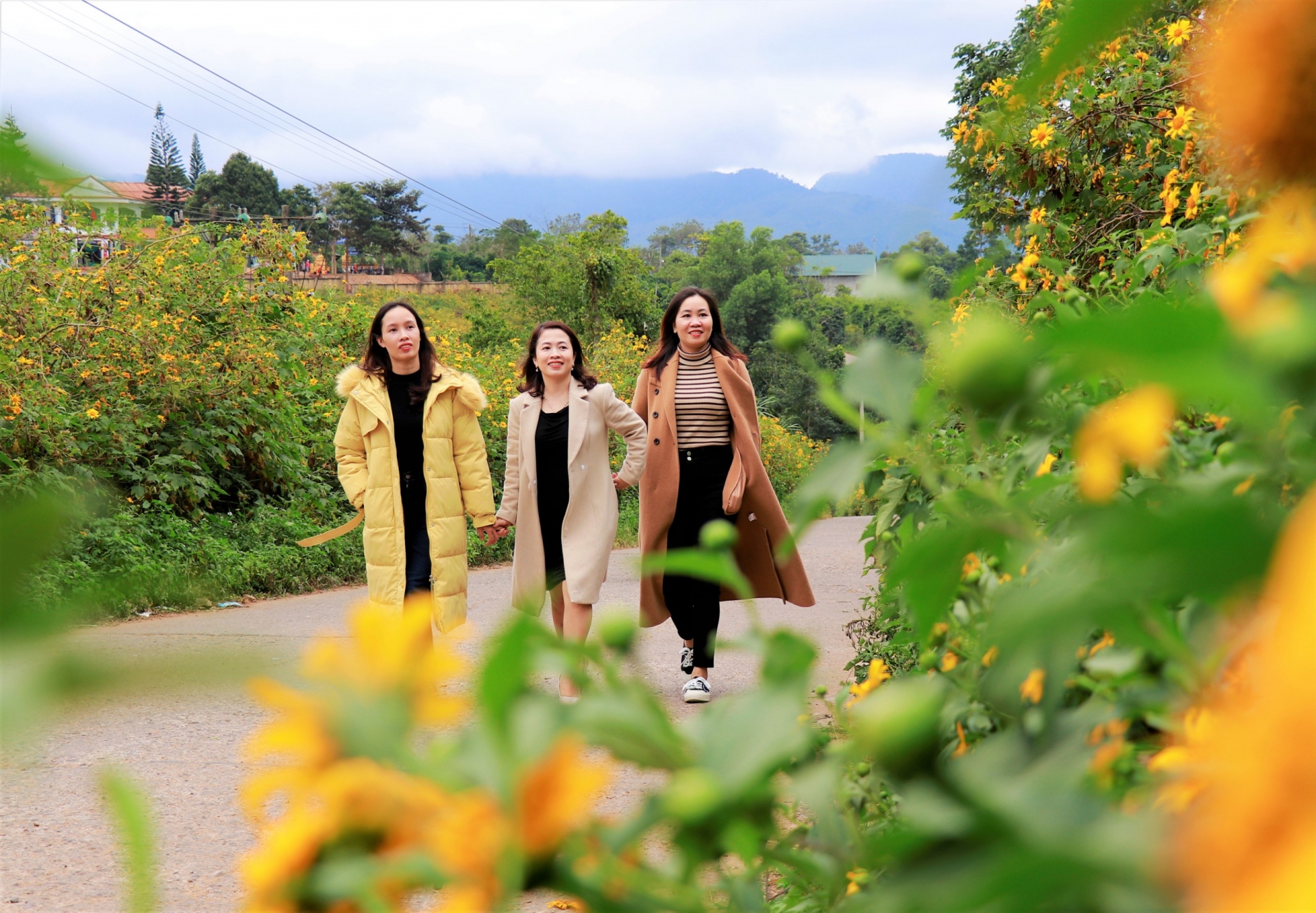 “Hồi sinh” du lịch trên EWEC “Hồi sinh” du lịch trên EWEC