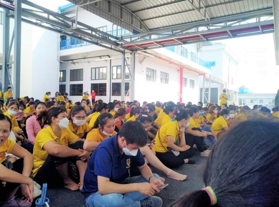 Khảo sát và trao đổi kinh nghiệm để phòng ngừa, hạn chế đình công trái pháp luật