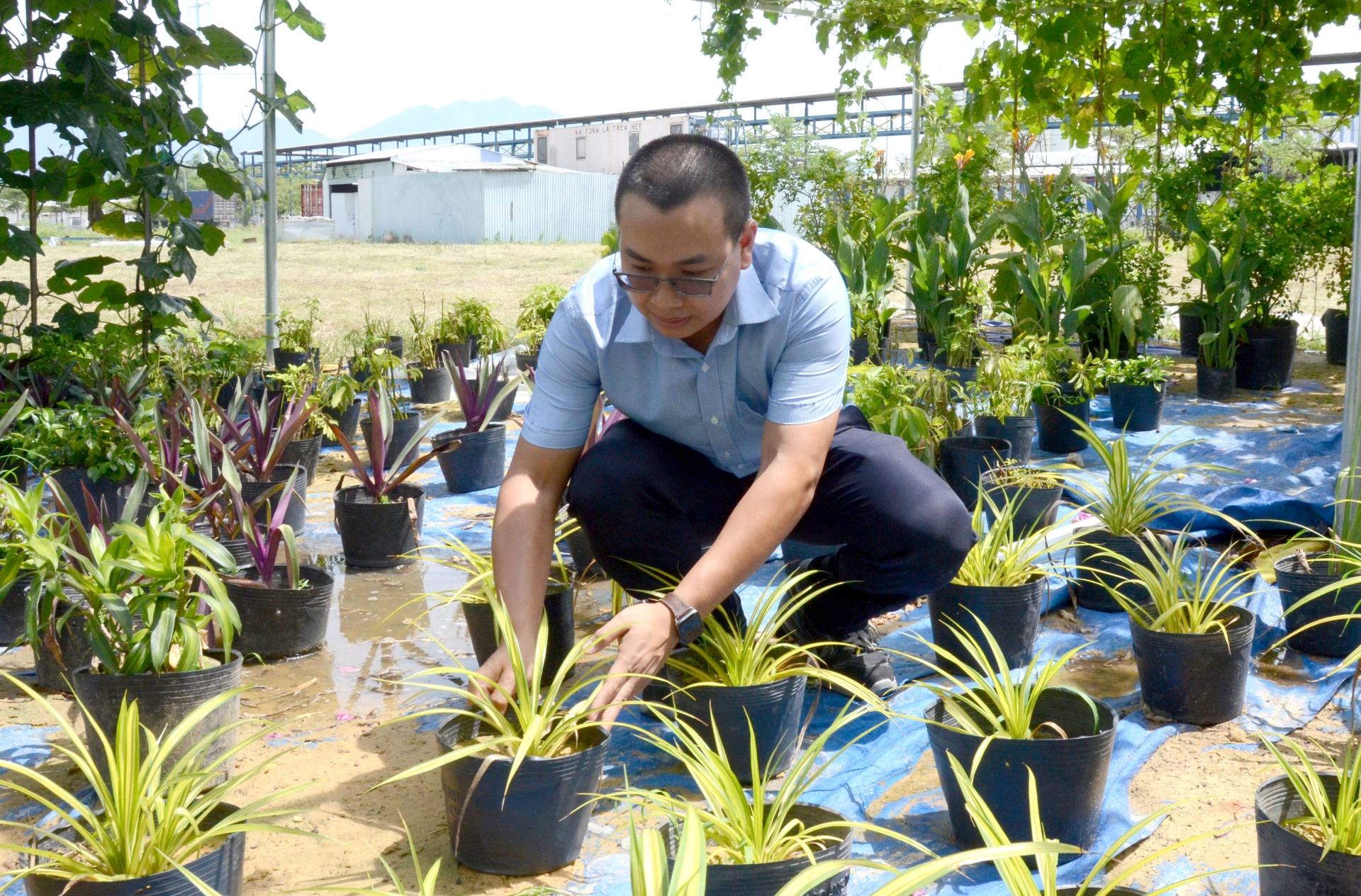Điểm tựa vững chắc cho NLĐ: Kỳ 3 - Những mô hình mới hậu dịch bệnh