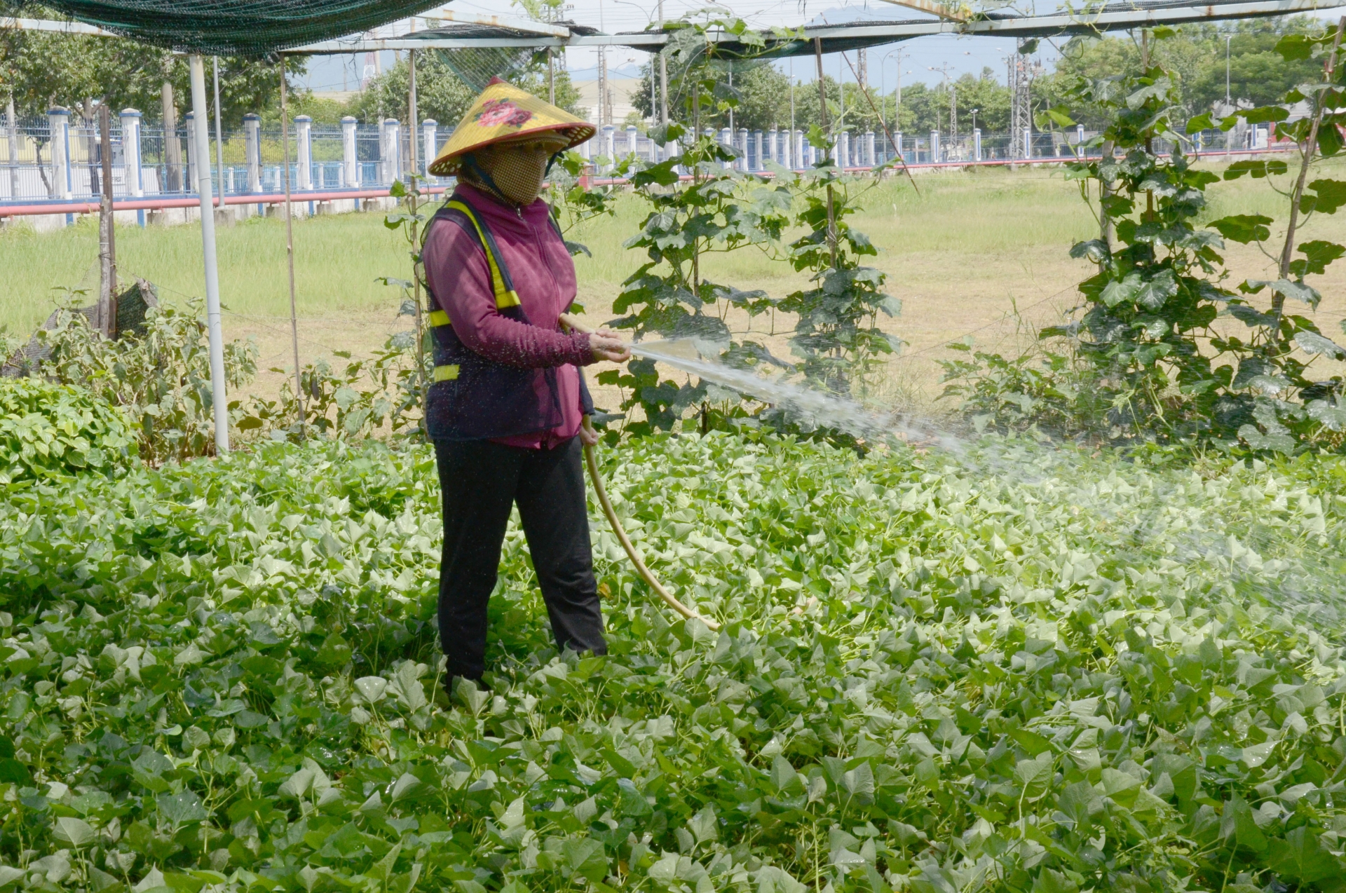 Điểm tựa vững chắc cho NLĐ: Kỳ 3 - Những mô hình mới hậu dịch bệnh