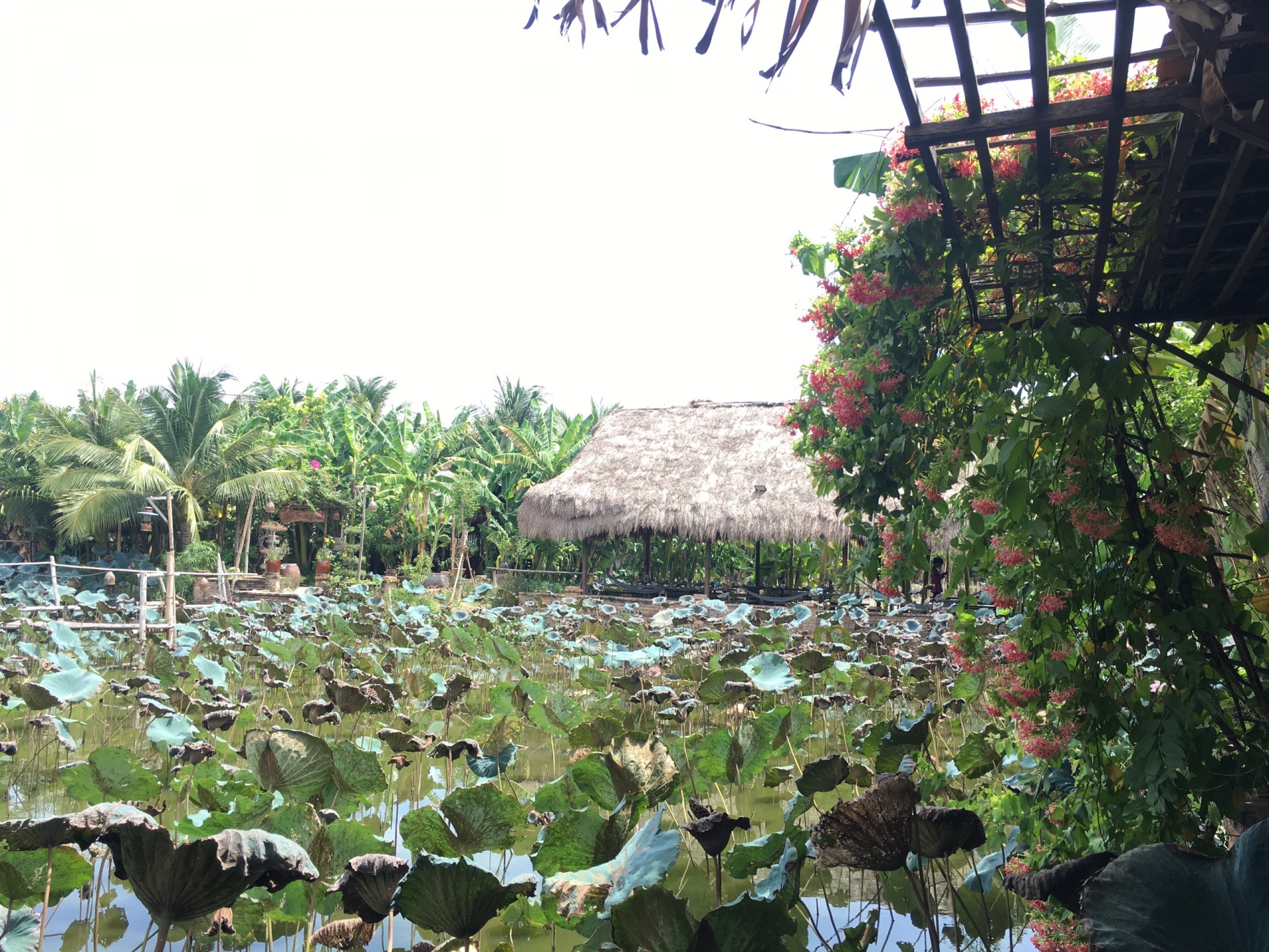 Có một miền ký ức trong không gian văn hóa Nha Trang Xưa