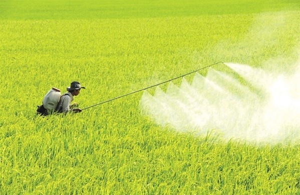 Chúng ta đừng “đầu độc” chúng mình nữa!