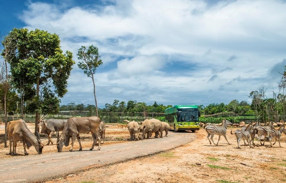 Hành trình tới “ngôi nhà” Vinpearl Safari của những cá thể quý hiếm nhất thế giới Hành trình tới “ngôi nhà” Vinpearl Safari của những cá thể quý hiếm nhất thế giới