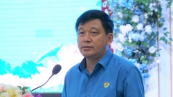 Nghệ An: Đánh giá toàn diện về Tháng Công nhân và Chương trình "1 triệu sáng kiến"