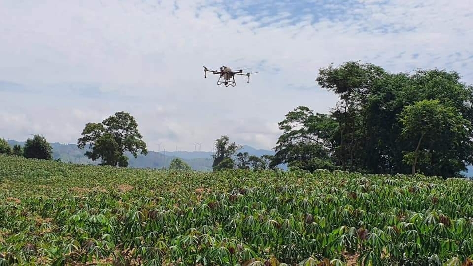 Sepon - giấc mơ về một thương hiệu nông sản hữu cơ