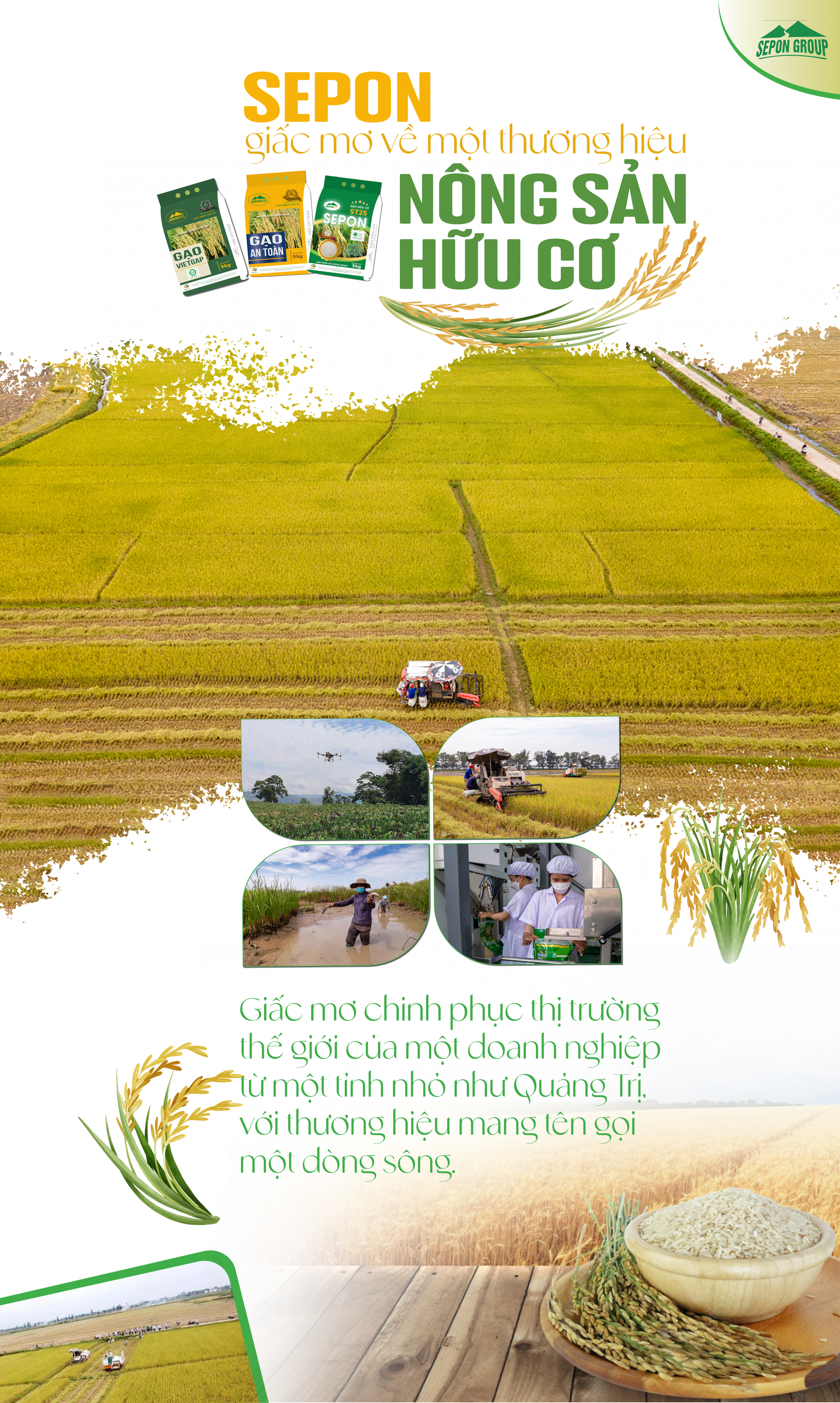 Sepon - giấc mơ về một thương hiệu nông sản hữu cơ