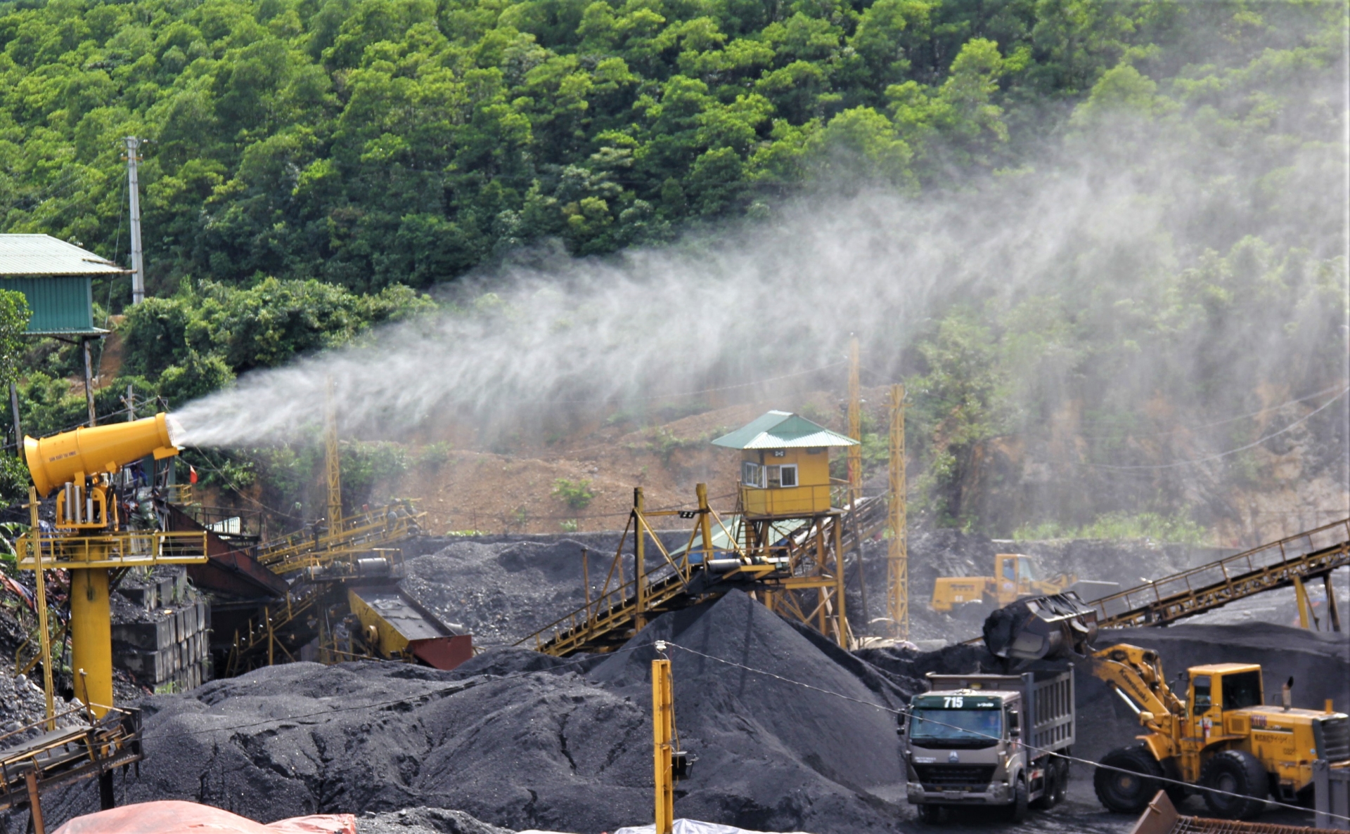 Công ty CP Than Hà Tu nỗ lực góp phần “xanh hóa” vùng than Công ty CP Than Hà Tu nỗ lực góp phần “xanh hóa” vùng than