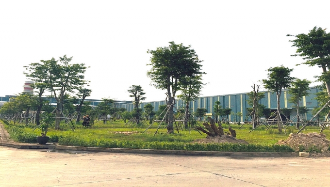 Thanh Hóa nỗ lực chăm lo môi trường làm việc Thanh Hóa nỗ lực chăm lo môi trường làm việc