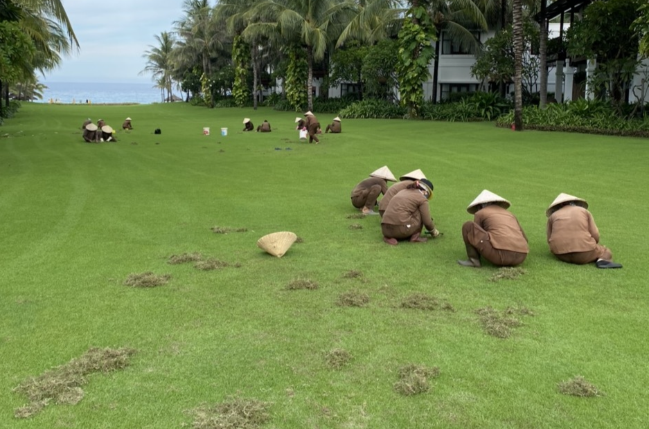 Thu hút lao động ngành Du lịch với mức lương cạnh tranh