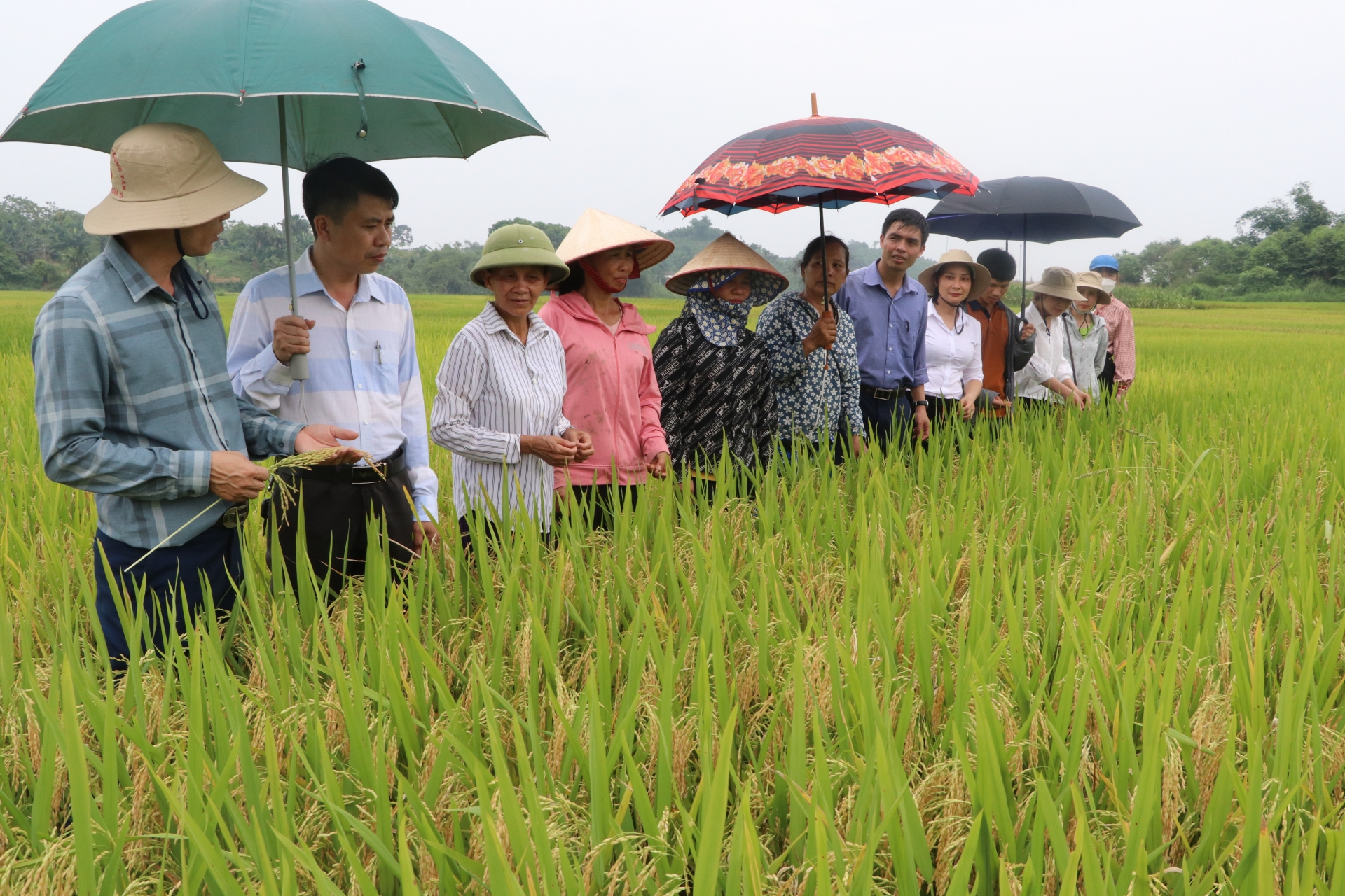LĐLĐ Huyện Trấn Yên, tỉnh Yên Bái: Nhiều hoạt động chăm lo cho đoàn viên, người lao động LĐLĐ Huyện Trấn Yên, tỉnh Yên Bái: Nhiều hoạt động chăm lo cho đoàn viên, người lao động