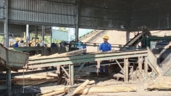 Khánh Hòa: Chuyển hồ sơ 36 đơn vị nợ BHXH cho cơ quan công an xử lý