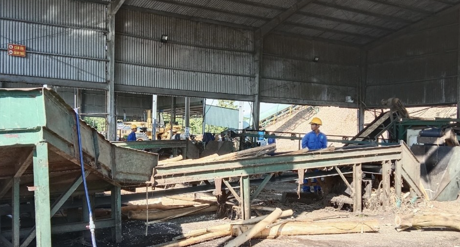 Khánh Hòa: Nhiều doanh nghiệp nợ đọng Bảo hiểm xã hội