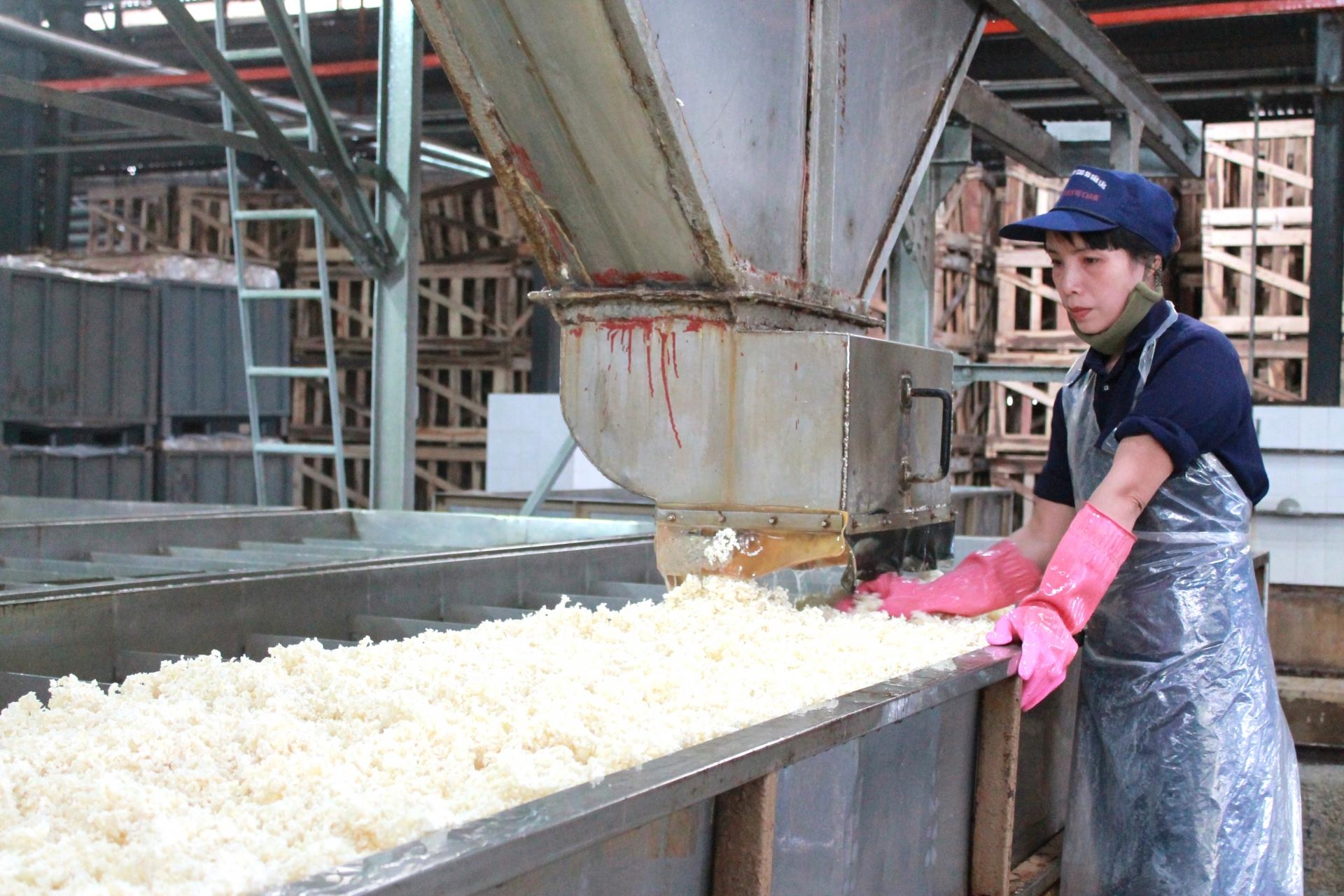 Công đoàn Đắk Lắk chú trọng bảo vệ quyền lợi, chăm lo cho lao động nữ