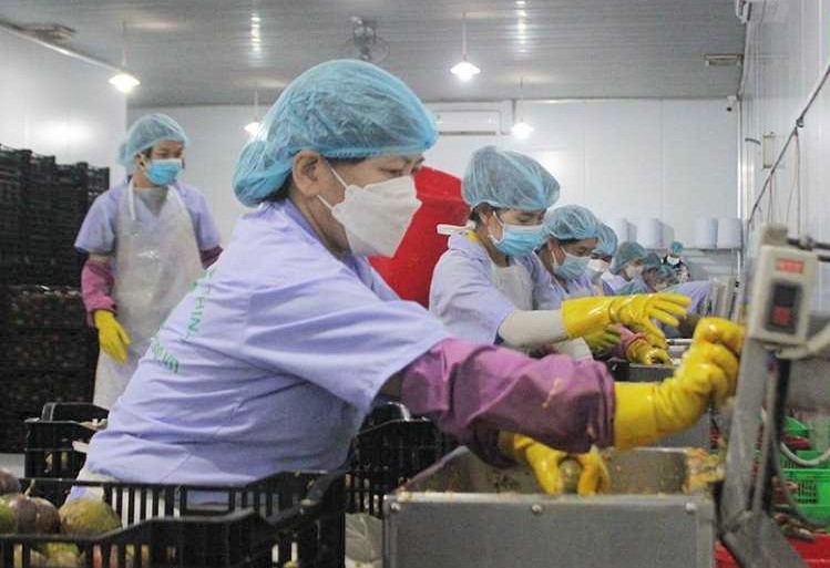 Đắk Nông hiệu quả từ phong trào quần chúng làm công tác ATVSLĐ