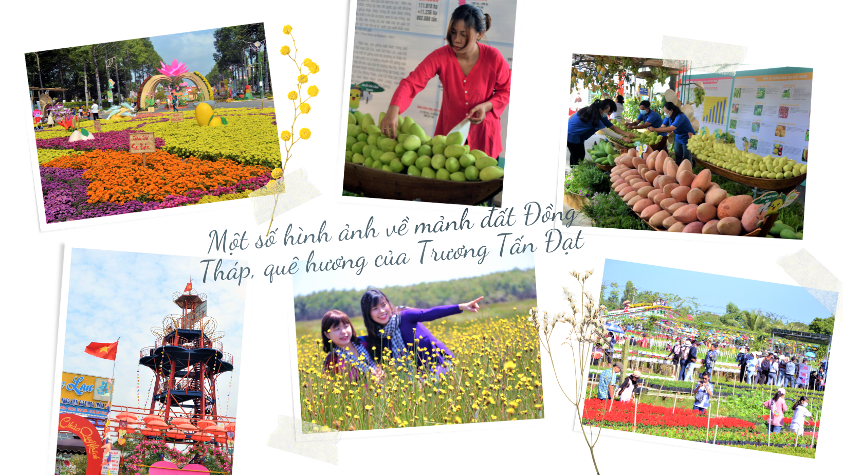 Từ làm thuê đến làm chủ trên xứ Hoa Anh Đào Từ làm thuê đến làm chủ trên xứ Hoa Anh Đào